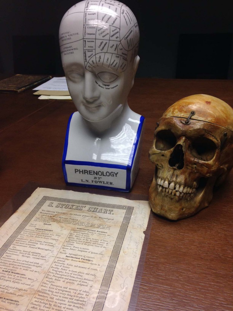 Phrenology model and human skull